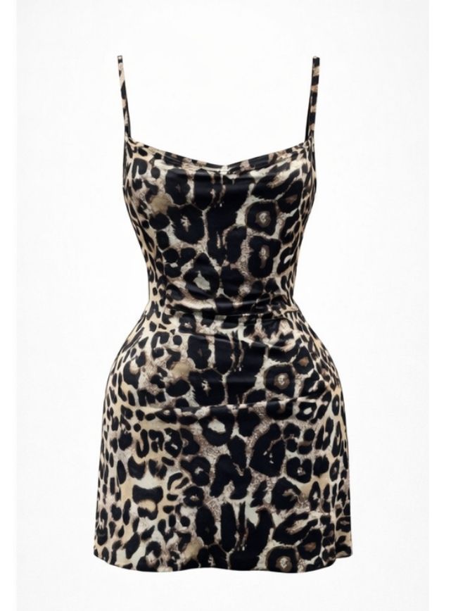 دريس تايجر مزود بفراشه من الضهر