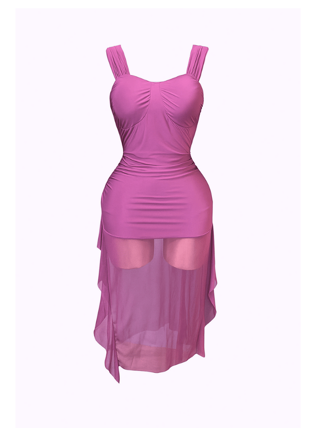 Sheer Hem Bodycon Dress