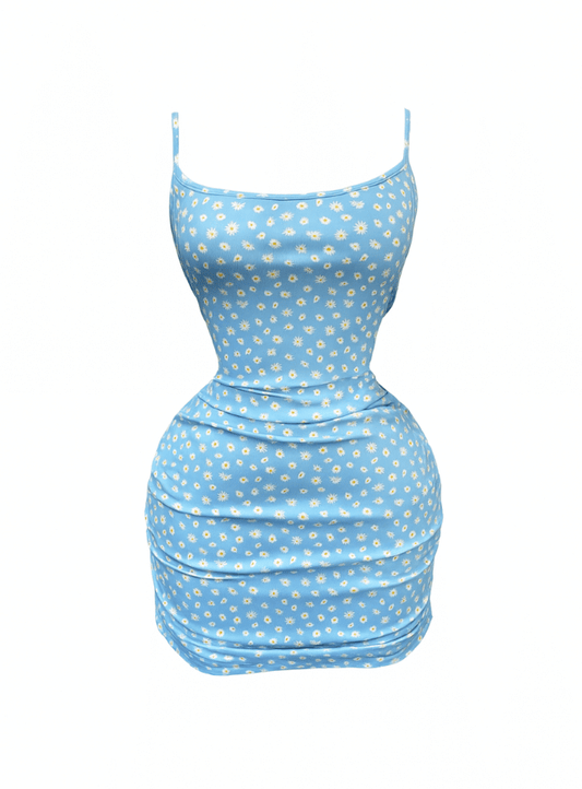 دريس قصير مزود بأستك من الجناب