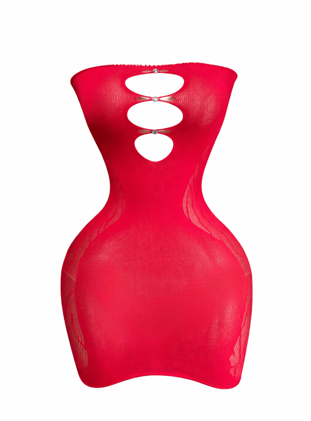 Mesh Bodycon Lingerie
