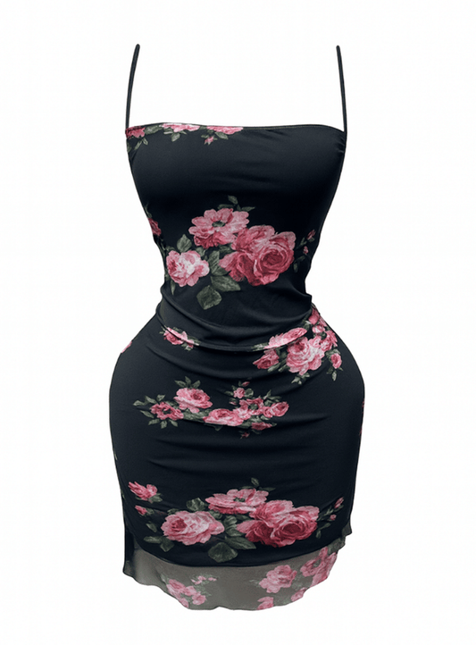 دريس قصير مزود بأستك من الجناب