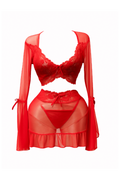 Lace Mesh Lingerie Set