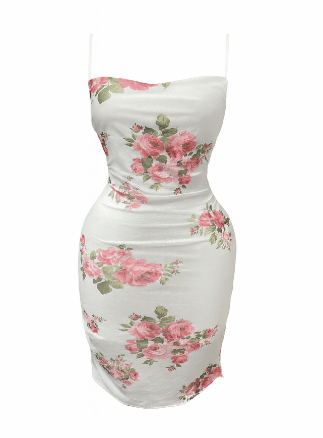 دريس قصير مزود بأستك من الجناب