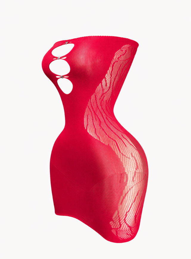 Mesh Bodycon Lingerie