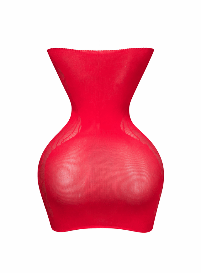 Mesh Bodycon Lingerie